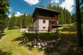 Apartma Medved - Pokljuka